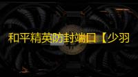和平精英防封端口【少羽内部私端】和平端口-